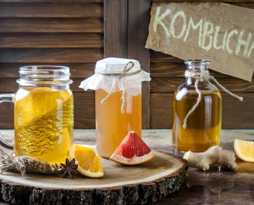 Homemade fermented raw kombucha tea with different flavorings. Healthy natural probiotic flavored drink.