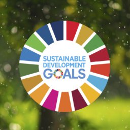 SDGs main image