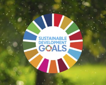 SDGs main image