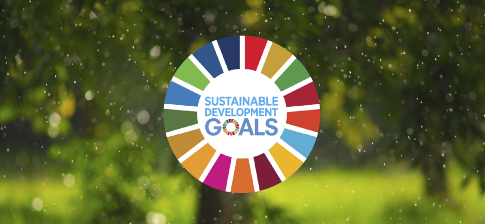 SDGs main image