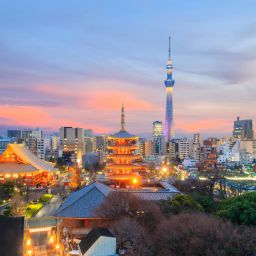 Japan Tokyo skyline