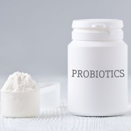 probiotic ingredients