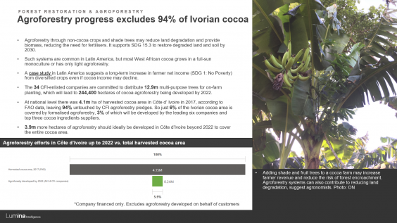 Deforestation report preview slide