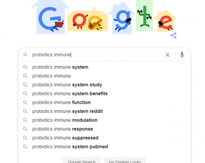 Above: Google predictive search