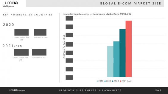 ecom report preview 1