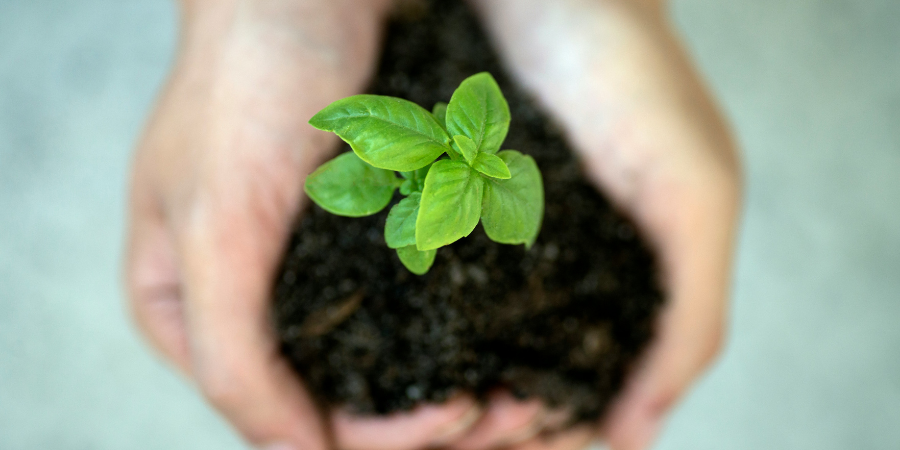 Rethinking Sustainability in the Food & Beverage Landscape